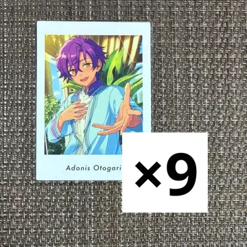 앙스타 파샤츳 오토카리 아도니스