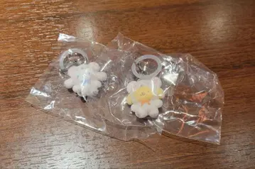 폼폼푸딩 시나모롤 메지루시 복슬복슬 스노우 캡슐 토이