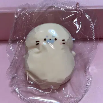 아자라시  스퀴즈