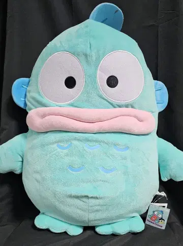 한교동 초초BIG DX 봉제 인형