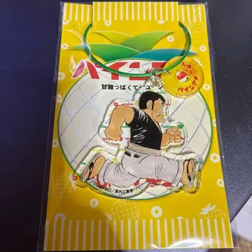 재잘재잘 치에 파인아메 콜라보 키링 테츠