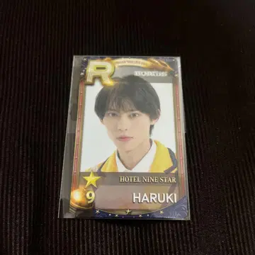 슈스에비 리얼 카드 BUDDiiS HARUKI