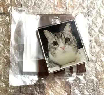 모치마루 일기 키링 스코티시 폴드 202511151907