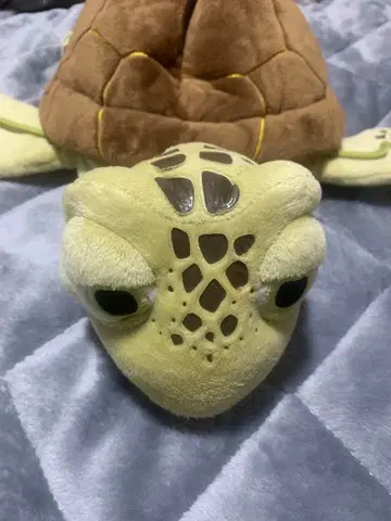 디즈니 팬캡 크러쉬