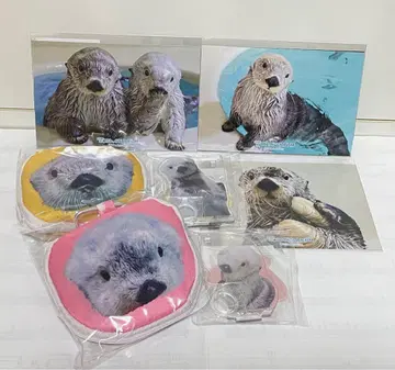 랏코의 메이짱 복권 리턴즈! (캡슐 복권)