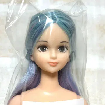 시온 즐거운 인형 파란 머리 미개봉