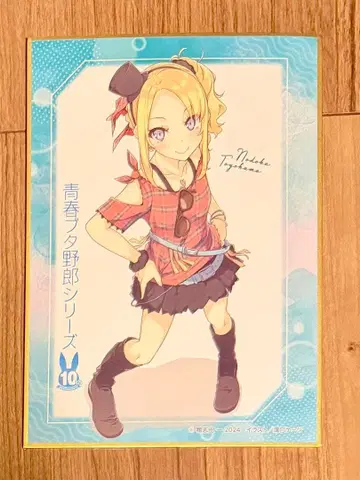 청춘 돼지 녀석 미니 색지 커버 비주얼 토요하마 노도카 10주년