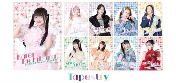 이기가리 도호쿠산 캡틴 복권 후지타니 미우