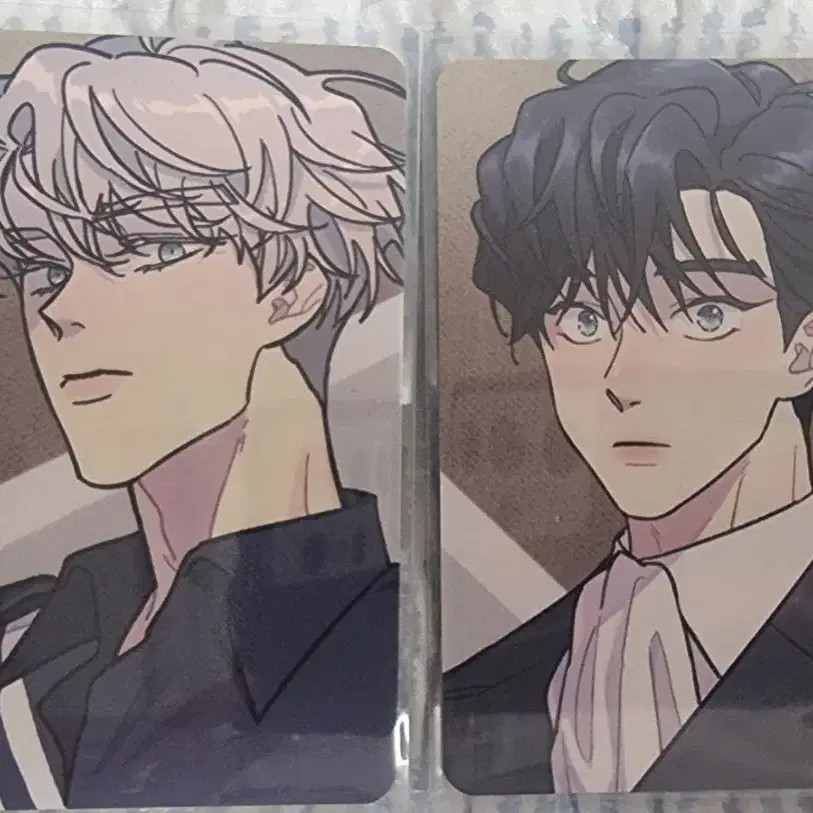 Team Rejin Seug Rootless Tree Poca