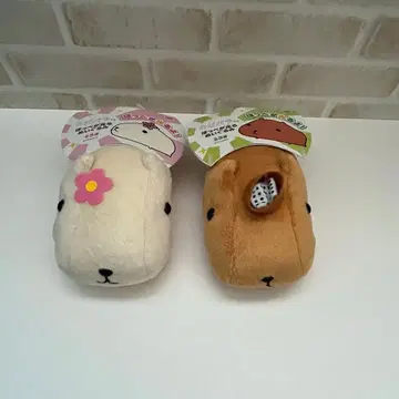 카피바라 씨 봉제 인형