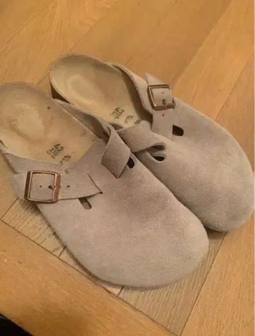 비리켄슈톡 보스턴