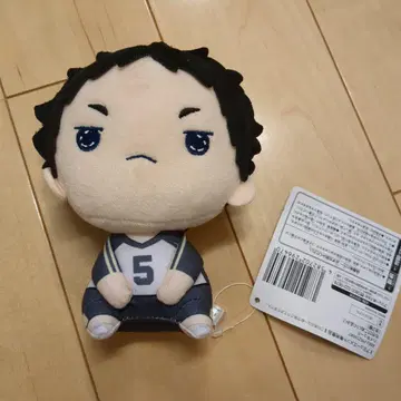 하이큐!! 모치피코 봉제 인형 아카아시 케이지