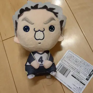 하이큐!! 모찌피코 봉제 인형 보쿠토 코타로