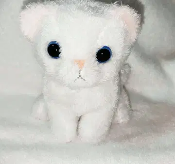화이트 고양이 봉제 인형
