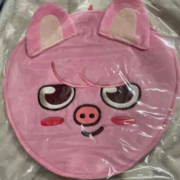 Stray Kids 부채 케이스 스키즈 돼끼 창빈 미개봉