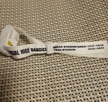 SPECIAL HIGE DANDISM 응원봉