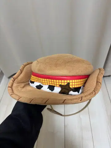 우디 팬캡 디즈니