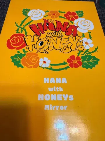 HANA 팬미팅 거울