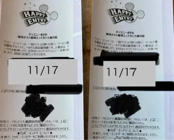 디즈니랜드 해피 응모 11/17 2매