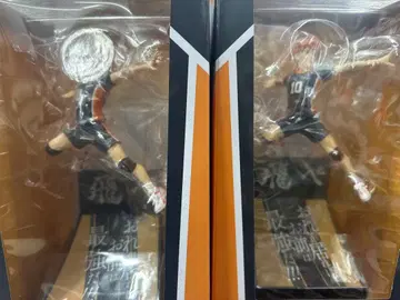 하이큐!! 히나타 쇼요 피규어 해피 복권 A상