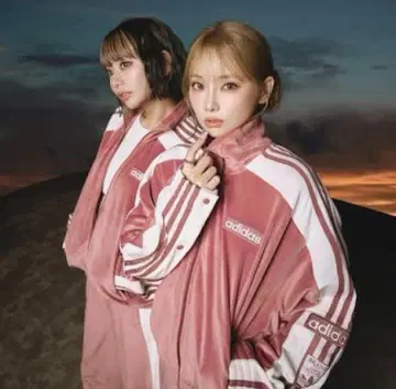 adidas 벨로아 셋업 핑크