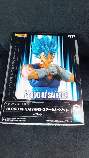 드래곤볼 BLOOD OF SAIYANS 베지트