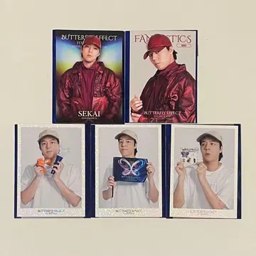 'BATTERFLY EFFECT'-FLY WITH YOU- / 세계