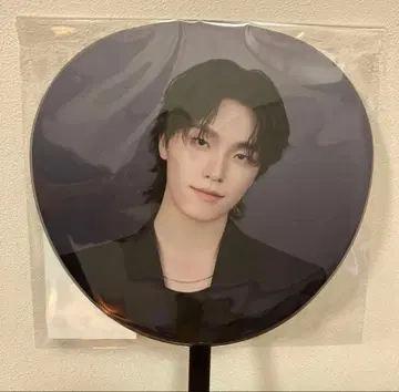 SEVENTEEN NEW NEW_ 부채 이미지 피켓 디노 DINO