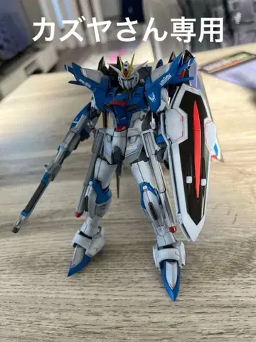 라이징 프리덤, 이모탈 저스티스 완성품 2체 세트