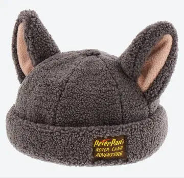 판타지 스프링스 로스트 키즈 아라이 캡