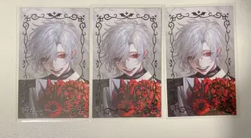 쿠츠하 팝업 POPUP 사진풍 카드 금박 레어 3장 세트