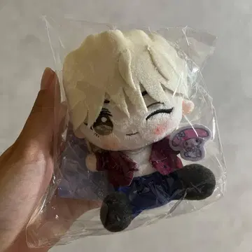 SEVENTEEN 세븐틴 돈키 산리오 봉제 인형 키링 정한