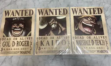 미개봉 원피스 해군 발행 공식 수배서 카이도 로저 검은 수염 포스터