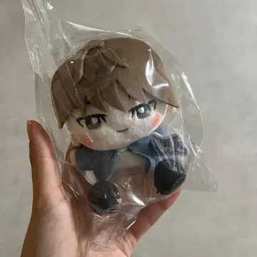 SEVENTEEN 세븐틴 세부치 돈키 산리오 봉제 인형 키링 원우