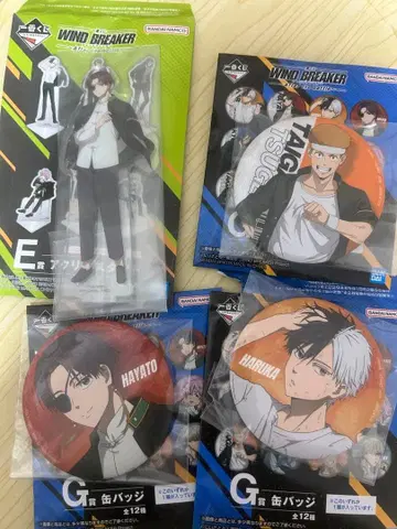 WIND BREAKER 피규어 & 캔뱃지 세트