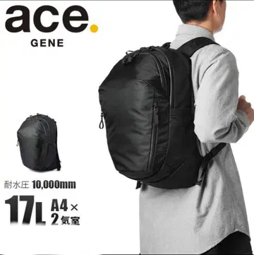 에이스진 비즈니스 백팩 러그마스터 17리터 ace