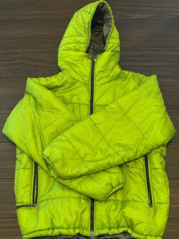 하자품 patagonia das 파카 게코 그린