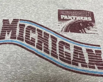 [ 새상품급/미국제 ] 80s 챔피온 멜란지 염색 미시건 L 빈티지