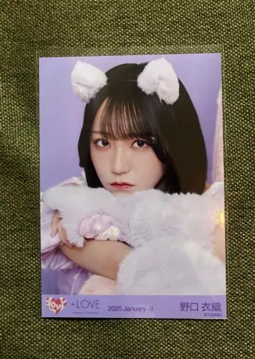 이코러브 노구치 이오리 브로마이드 고양이 의상 요리