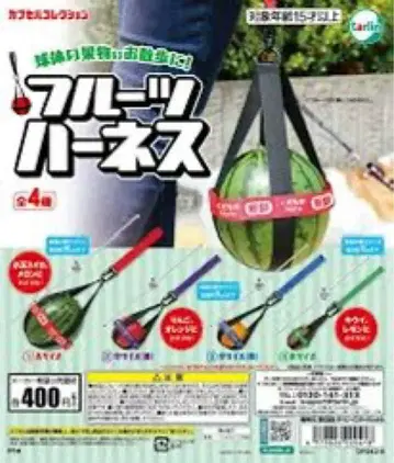 즉시 구매 OK 새상품 후르츠 하네스 가챠 가챠가챠 캡슐 토이 수박