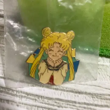 세일러문 가네보우 미라클 핀즈 핀 배지 츠키노 우사기