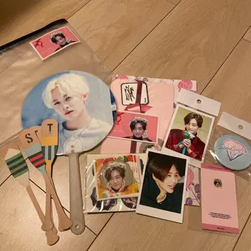 SEVENTEEN 정한 비공식 굿즈