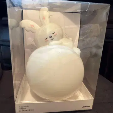 SEVENTEEN 정한 아티스트 메이드 라무 라이트