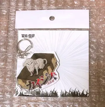 대 카이지전 한정판 역경회고록 카이지견 아크릴 키링