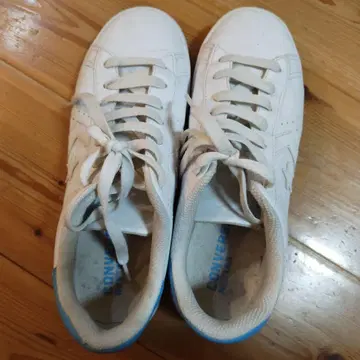 체육관 신발 컨버스