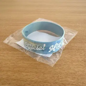 Officialdism 러버 밴드 여름 페스티벌 2025