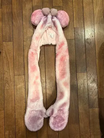 디즈니 팬캡 미니