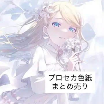 프로세카 색지 묶음 판매