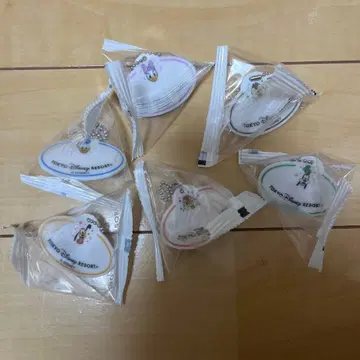 디즈니 네임택 키체인