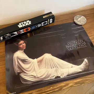 [ 미사용 ] STAR WARS 레이아 공주 포스터